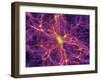 Dark Matter Distribution-Volker Springel-Framed Premium Photographic Print