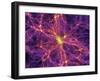 Dark Matter Distribution-Volker Springel-Framed Premium Photographic Print