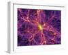 Dark Matter Distribution-Volker Springel-Framed Premium Photographic Print