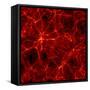 Dark Matter Distribution-Max Planck-Framed Stretched Canvas