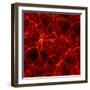 Dark Matter Distribution-Max Planck-Framed Premium Photographic Print