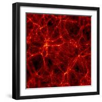 Dark Matter Distribution-Max Planck-Framed Premium Photographic Print