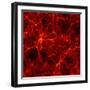 Dark Matter Distribution-Max Planck-Framed Premium Photographic Print