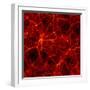 Dark Matter Distribution-Max Planck-Framed Premium Photographic Print