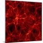 Dark Matter Distribution-Max Planck-Mounted Premium Photographic Print