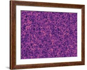 Dark Matter Distribution-Volker Springel-Framed Photographic Print