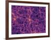 Dark Matter Distribution-Volker Springel-Framed Photographic Print