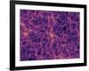 Dark Matter Distribution-Volker Springel-Framed Photographic Print