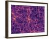 Dark Matter Distribution-Volker Springel-Framed Photographic Print