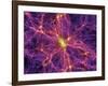 Dark Matter Distribution-Volker Springel-Framed Photographic Print