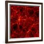 Dark Matter Distribution-Max Planck-Framed Photographic Print