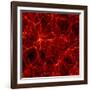 Dark Matter Distribution-Max Planck-Framed Photographic Print