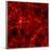 Dark Matter Distribution-Max Planck-Framed Photographic Print