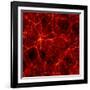 Dark Matter Distribution-Max Planck-Framed Photographic Print