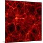 Dark Matter Distribution-Max Planck-Mounted Photographic Print