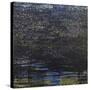 Dark Matter-Sarah Medway-Stretched Canvas