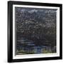 Dark Matter-Sarah Medway-Framed Giclee Print