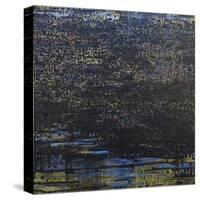 Dark Matter-Sarah Medway-Stretched Canvas