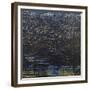 Dark Matter-Sarah Medway-Framed Giclee Print