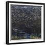 Dark Matter-Sarah Medway-Framed Giclee Print