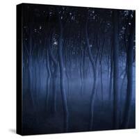 Dark, Misty Forest, Liselund Slotspark, Denmark-null-Stretched Canvas