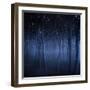 Dark, Misty Forest, Liselund Slotspark, Denmark-null-Framed Photographic Print