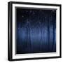 Dark, Misty Forest, Liselund Slotspark, Denmark-null-Framed Photographic Print