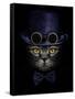 Dark Muzzle Cat in Purple Hat with Canned Glasses and Tie Butterfly-Plus69-Framed Stretched Canvas