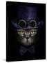 Dark Muzzle Cat in Purple Hat with Canned Glasses and Tie Butterfly-Plus69-Stretched Canvas