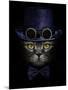 Dark Muzzle Cat in Purple Hat with Canned Glasses and Tie Butterfly-Plus69-Mounted Photographic Print