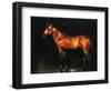 Dark Night-Sydney Edmunds-Framed Giclee Print