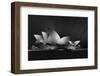Dark Opera-Jose Antonio Parejo-Framed Photographic Print