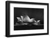 Dark Opera-Jose Antonio Parejo-Framed Photographic Print