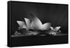 Dark Opera-Jose Antonio Parejo-Framed Stretched Canvas