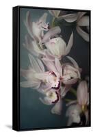 Dark Orchid I-Elizabeth Urquhart-Framed Stretched Canvas