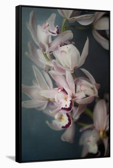 Dark Orchid I-Elizabeth Urquhart-Framed Stretched Canvas