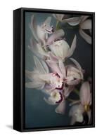 Dark Orchid I-Elizabeth Urquhart-Framed Stretched Canvas