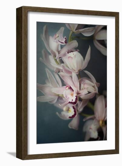 Dark Orchid I-Elizabeth Urquhart-Framed Art Print