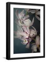 Dark Orchid I-Elizabeth Urquhart-Framed Art Print