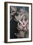 Dark Orchid II-Elizabeth Urquhart-Framed Art Print