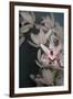 Dark Orchid II-Elizabeth Urquhart-Framed Art Print