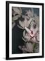 Dark Orchid II-Elizabeth Urquhart-Framed Art Print