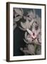 Dark Orchid II-Elizabeth Urquhart-Framed Art Print