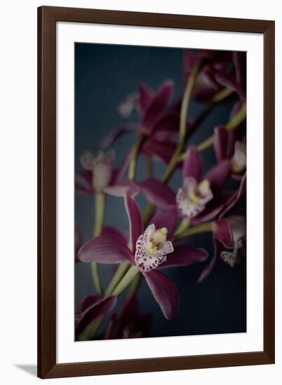 Dark Orchid III-Elizabeth Urquhart-Framed Art Print