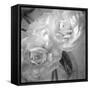 Dark Ranunculus I-Judy Stalus-Framed Stretched Canvas