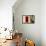 Dark red shutters in the wall of a house in France.-Tom Haseltine-Framed Stretched Canvas displayed on a wall