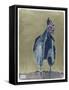 Dark Rooster 2-Maria Pietri Lalor-Framed Stretched Canvas