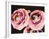 Dark Roses-Emily Navas-Framed Art Print