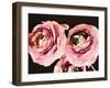 Dark Roses-Emily Navas-Framed Art Print