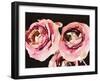 Dark Roses-Emily Navas-Framed Art Print